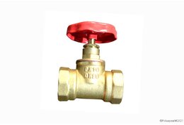 Вентиль 15Б1П Ду 15